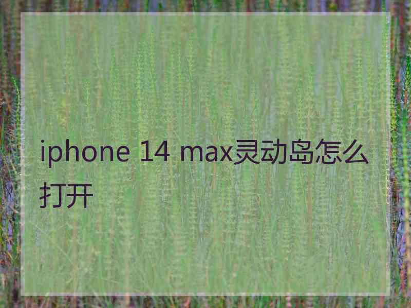 iphone 14 max灵动岛怎么打开