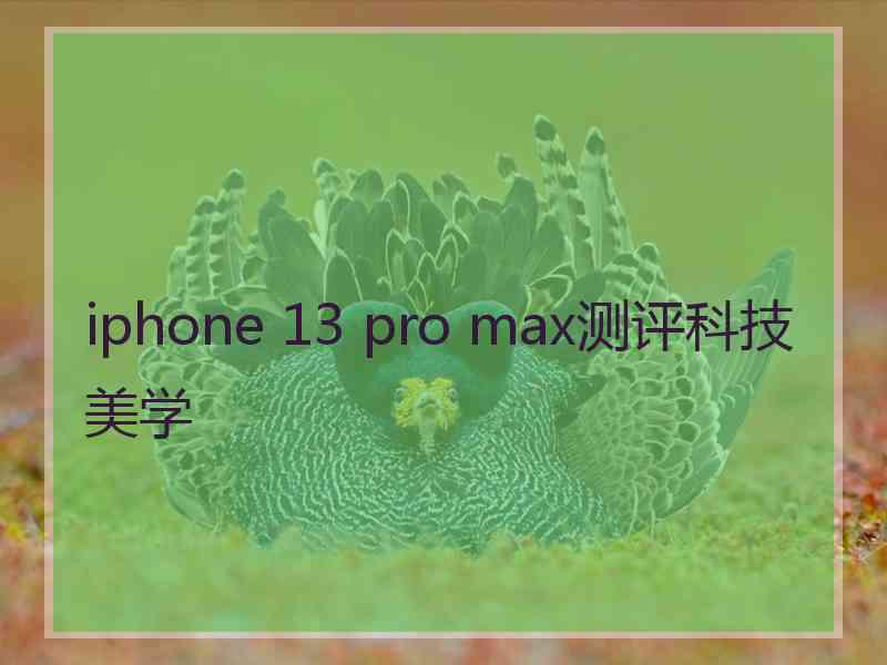 iphone 13 pro max测评科技美学