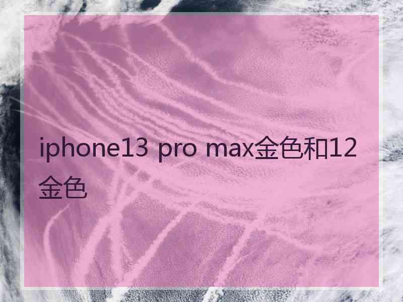 iphone13 pro max金色和12金色