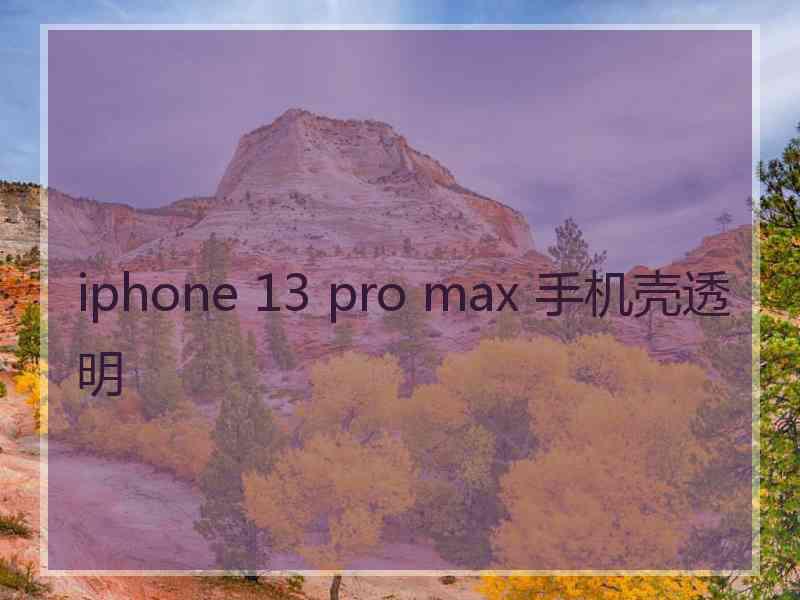 iphone 13 pro max 手机壳透明