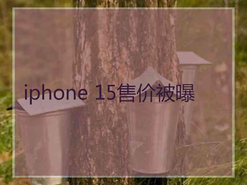 iphone 15售价被曝