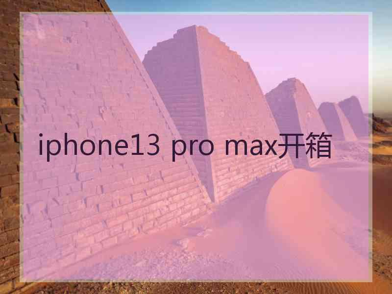 iphone13 pro max开箱