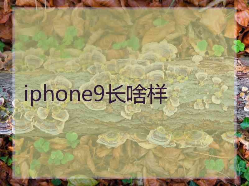 iphone9长啥样