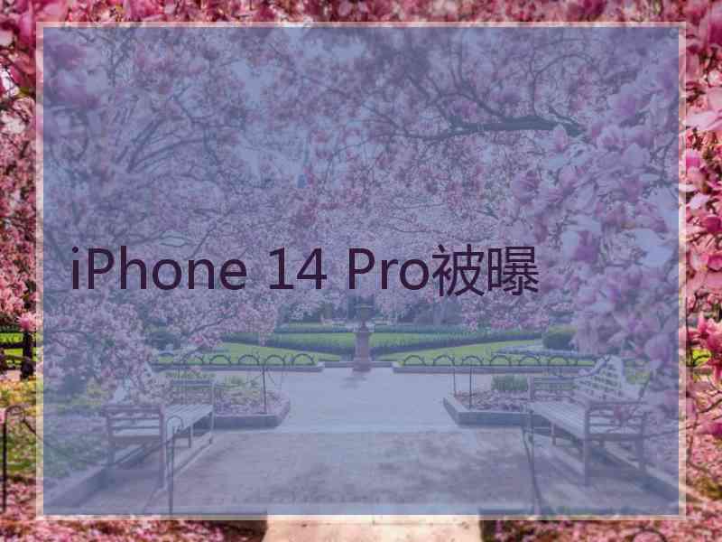 iPhone 14 Pro被曝