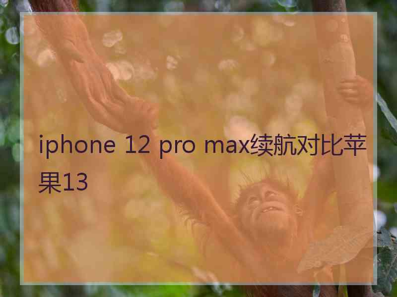 iphone 12 pro max续航对比苹果13