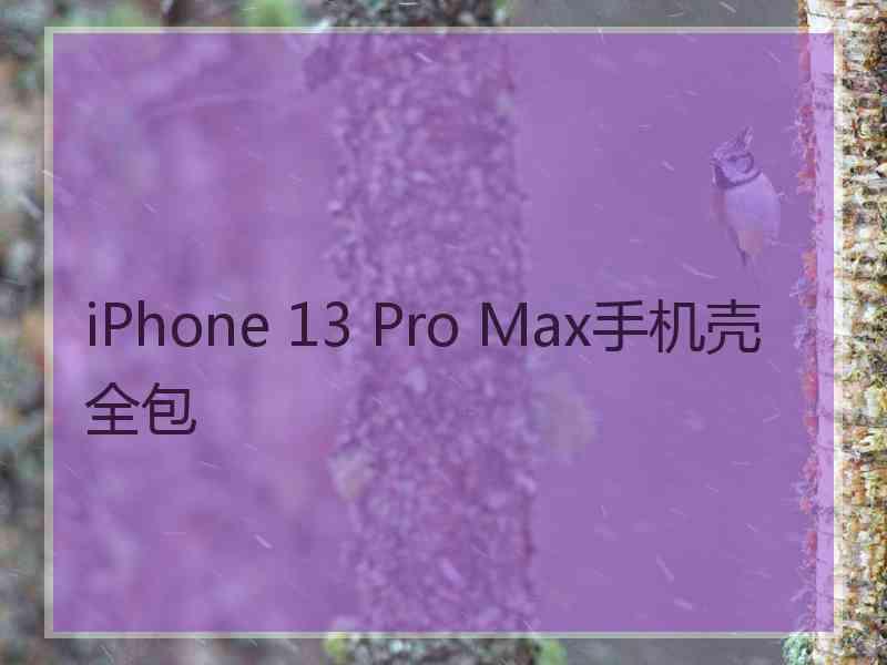 iPhone 13 Pro Max手机壳全包