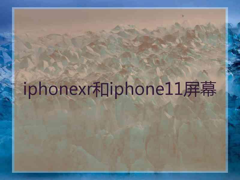 iphonexr和iphone11屏幕