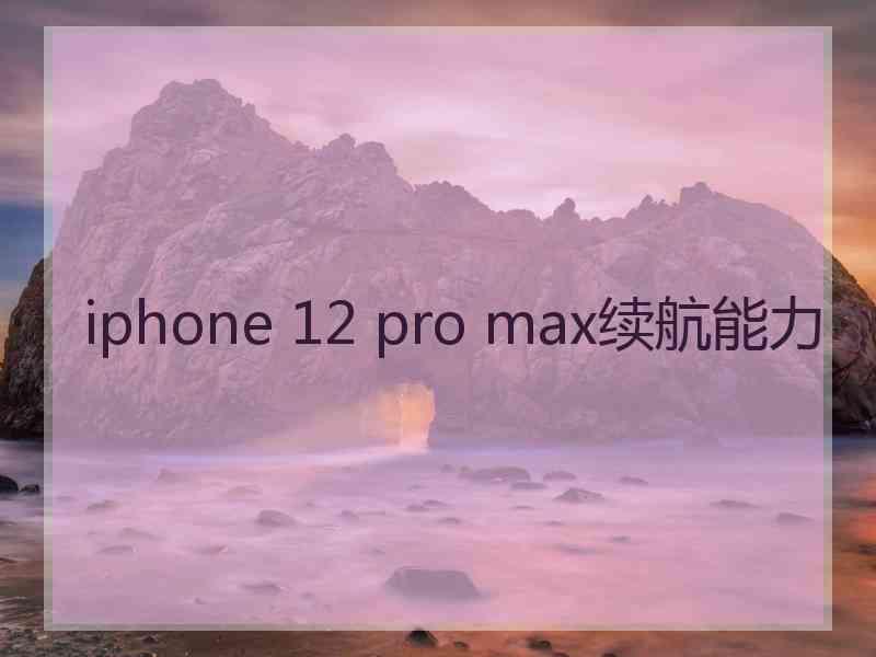 iphone 12 pro max续航能力