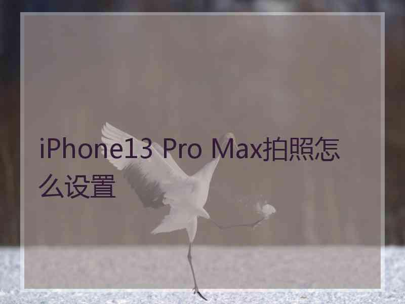 iPhone13 Pro Max拍照怎么设置