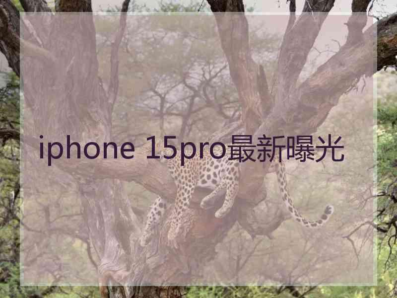 iphone 15pro最新曝光