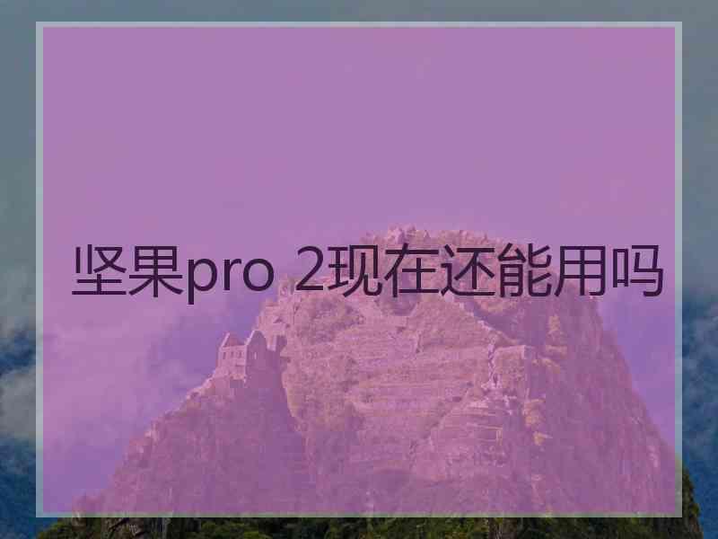 坚果pro 2现在还能用吗