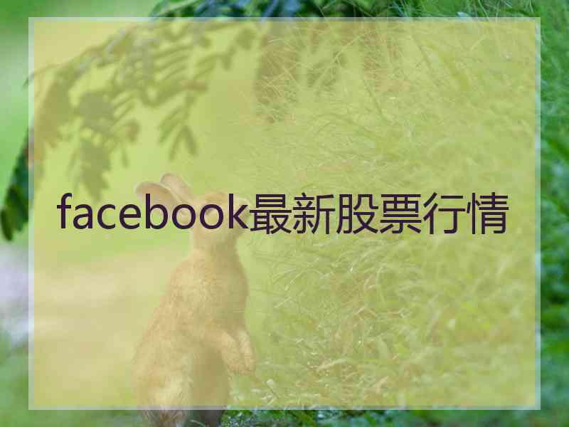 facebook最新股票行情