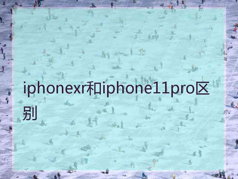 iphonexr和iphone11pro区别