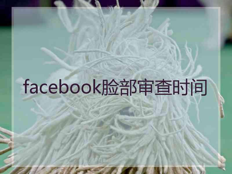 facebook脸部审查时间