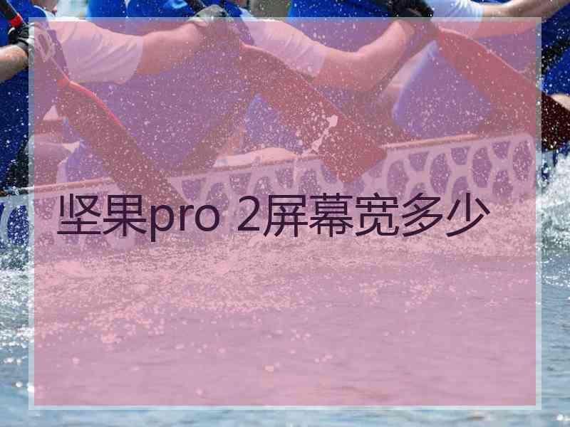 坚果pro 2屏幕宽多少