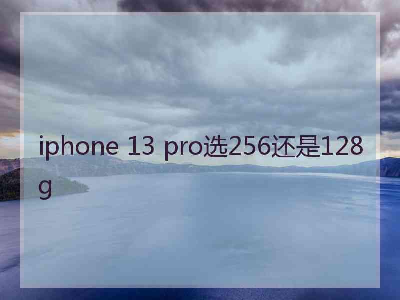 iphone 13 pro选256还是128g