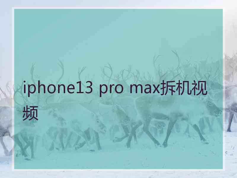 iphone13 pro max拆机视频